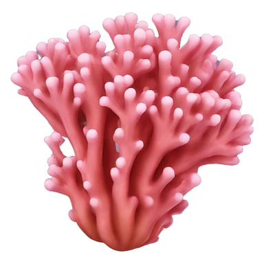 Coral sticker