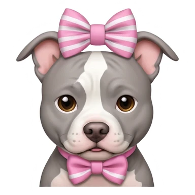 Fully Gray Pitbull with a white stripe on his head and a pink bow sticker