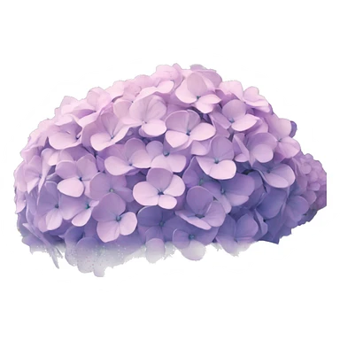 Hydrangeas  sticker