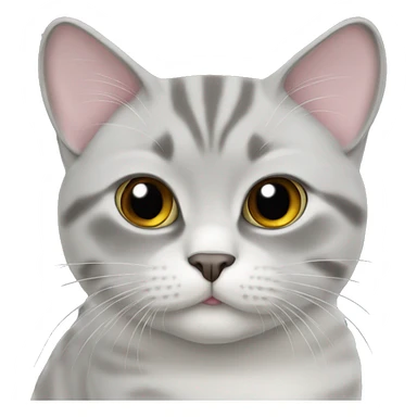 british cat silver chinchilla  sticker