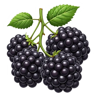black color blackberries sticker