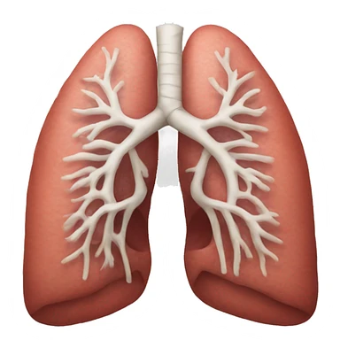 Realistic pair and of lungs  sticker