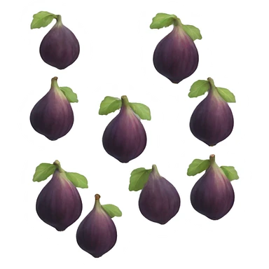fig the fruit sticker