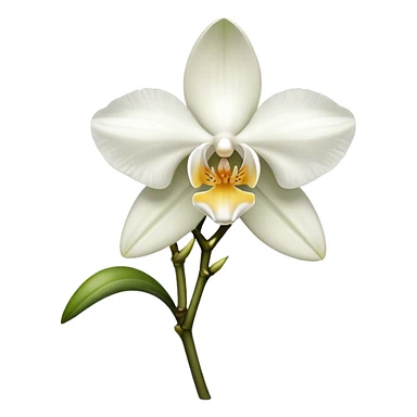 single white Dendrobium Orchid sticker