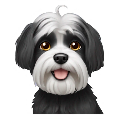 Black Maltese dog sticker
