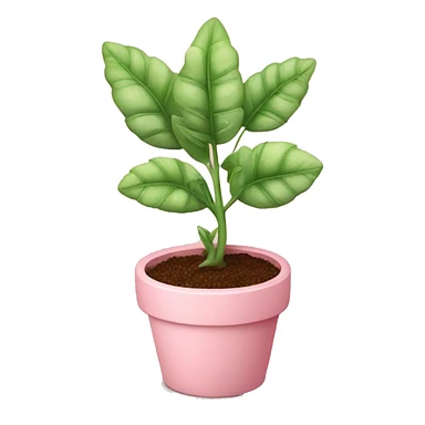 cute plant with a baby pink pot sticker