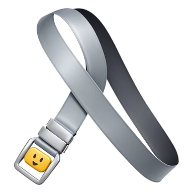 plane seat belt sticker