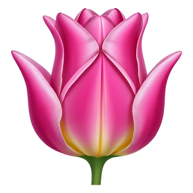 Pink tulip sticker