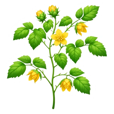 Hop plant  sticker
