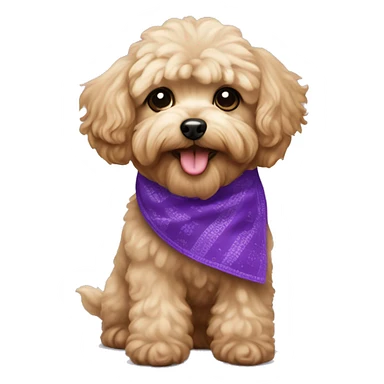 Tan maltipoo dog with purple bandana sticker
