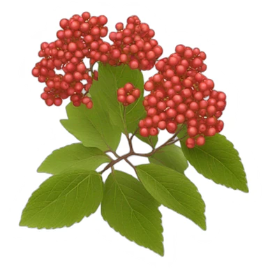 red viburnum sticker