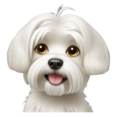 blonde Maltese dog sticker