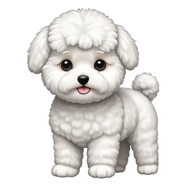 a full body of cute bichon frise sticker