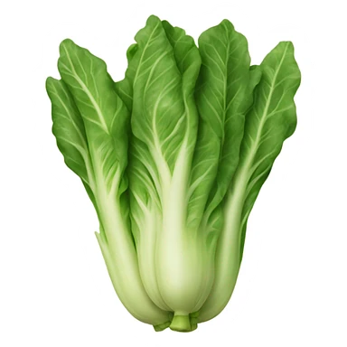 lechuga sticker
