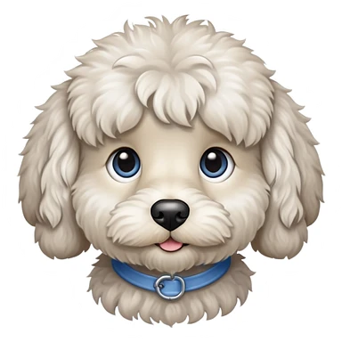 Cream and gray cockapoo with one brown eye and one blue eye sticker