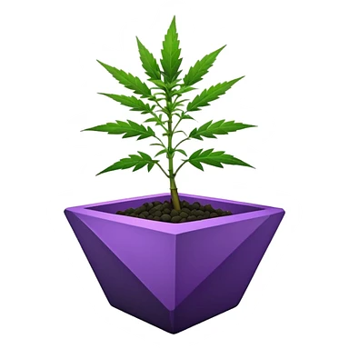  small short black bonsai pot plant purple marijuana with triangular angular faceted asymmetrical originally shaped body  sticker