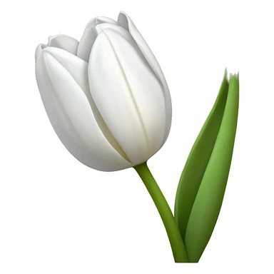 white tulip sticker