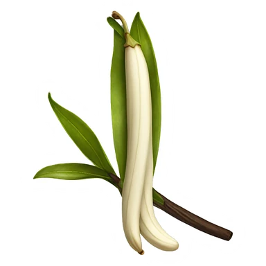 Harvested vanilla beans sticker