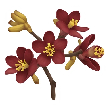 Red Chimonanthus praecox without leaves  sticker