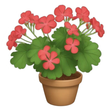 pelargonium sticker
