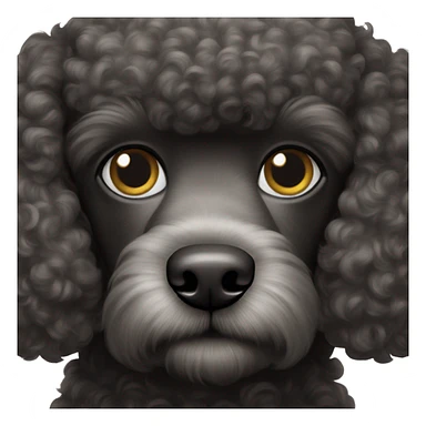 black poodle blue collar sticker