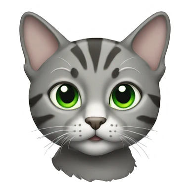 Grey tabby cat with green eyes sticker