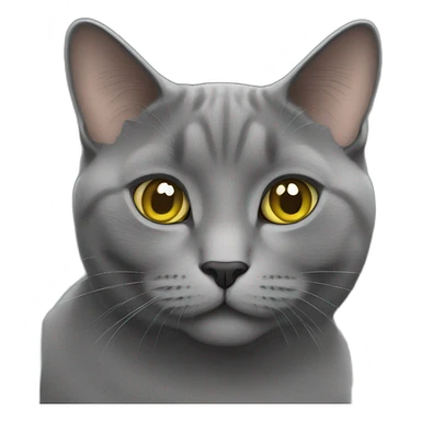 Chartreux cat  sticker