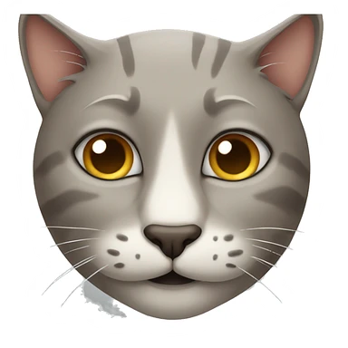 cat with old man's face sticker