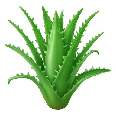 aloe vera sticker