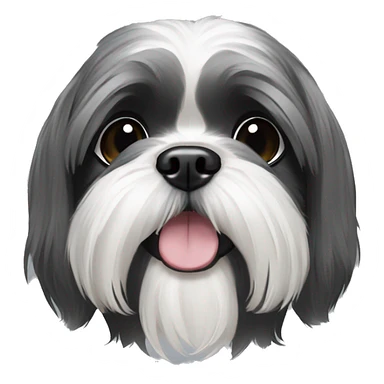 Black grey and white Shih tzu sticker