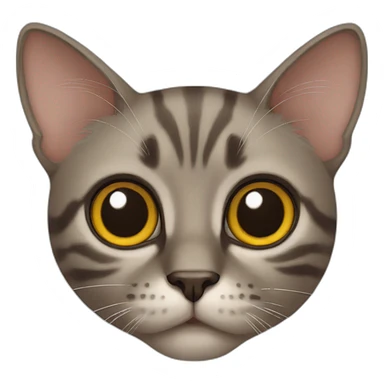 cat big eyes sticker