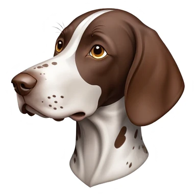 German shorthair pointer  sticker