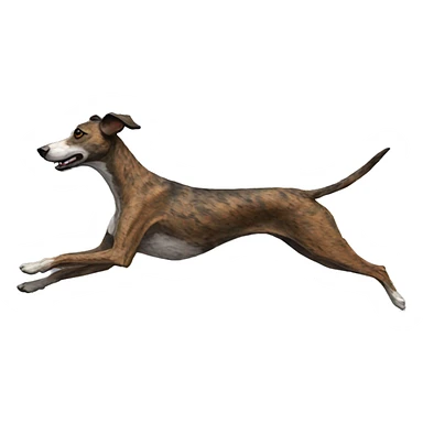 Brindle dog lurcher running sticker
