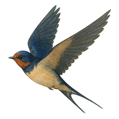 bird flying, varied artistic style, simple or transparent background sticker