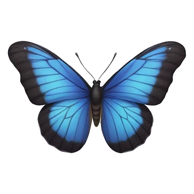 butterfly  sticker