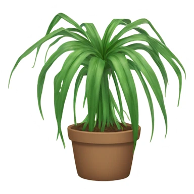 Talking Spider plant sticker