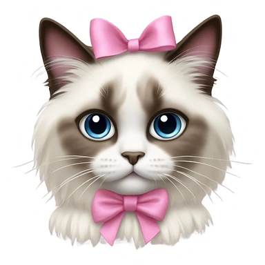 Ragdoll cat with a pink bow  sticker