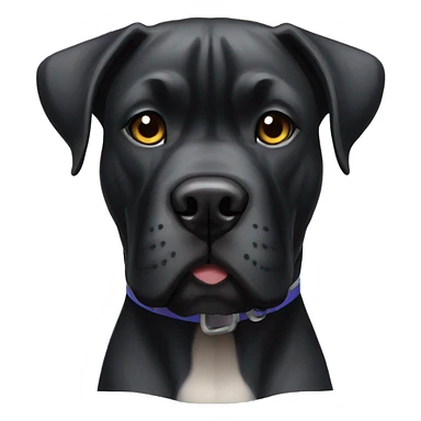 Black cane corso  sticker