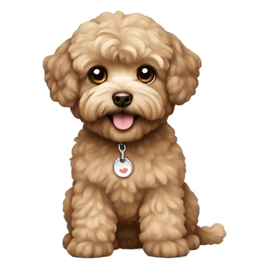 Brown maltipoo  sticker