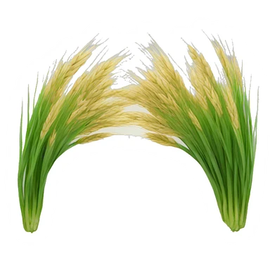 Salveo Barley Grass sticker