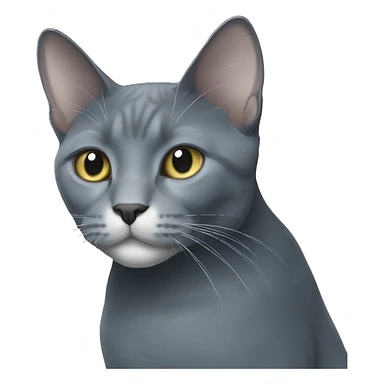 Tall large russian blue cat with white patch of hair on chest sticker
