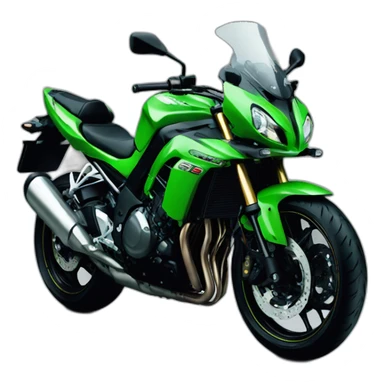 Kawasaki 1000 sticker