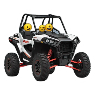 Rzr sticker