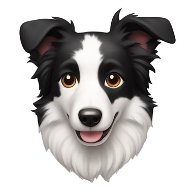 A cute Border Collie with black ears, only has black and white hair sticker