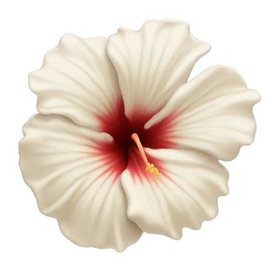 white and beige hibiscus flower  sticker