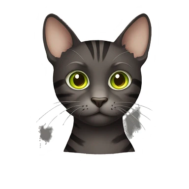 dark brown sitten cat with dark grey and light grey stripes with yellowish green eyes  sticker