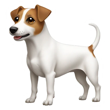Jackrussell body side sticker