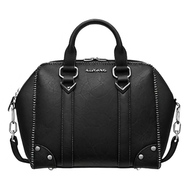  Realistic, Detailed, Leather, Alexander Wang Medium Rex Bag sticker