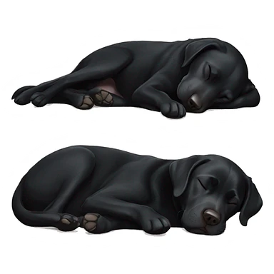 Black Labrador sleeping sticker