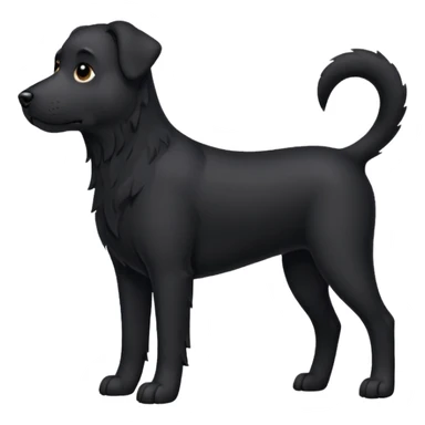 haz un perro negro sticker